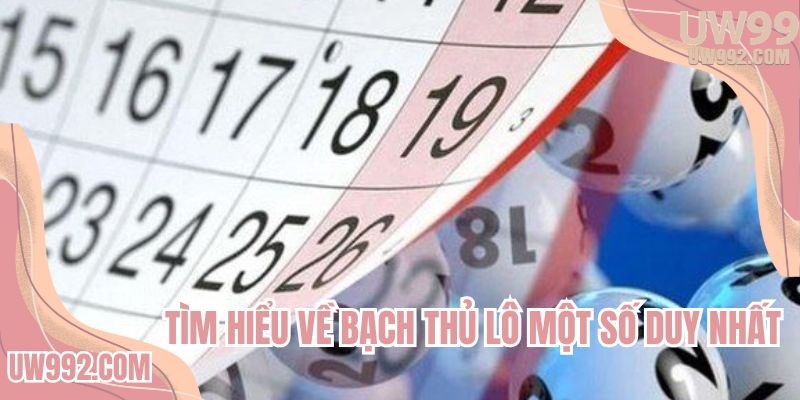 Tìm hiểu về bạch thủ lô một số duy nhất