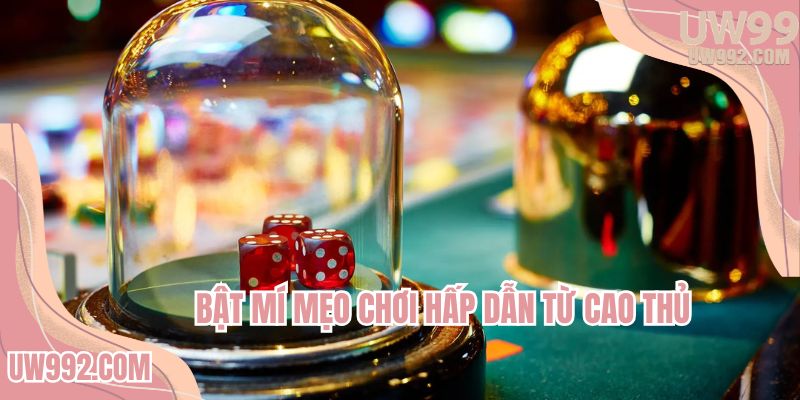 Bí quyết chiến thắng từ cao thủ chưa ai bật mí