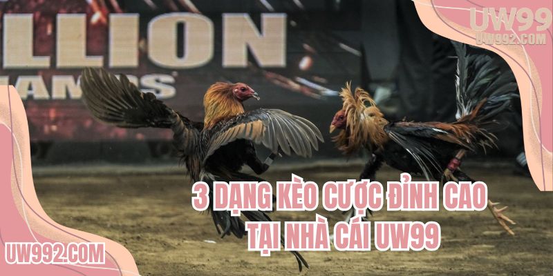 3 dạng kèo cược đỉnh cao tại nhà cái UW99