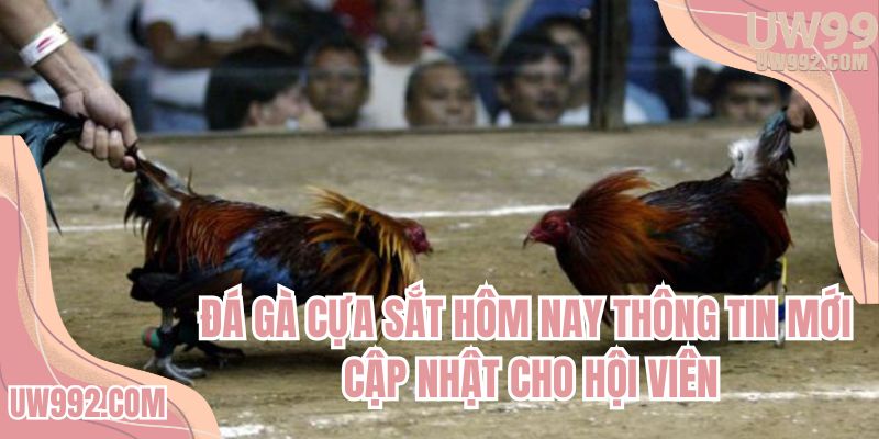 da-ga-cua-sat-hom-nay