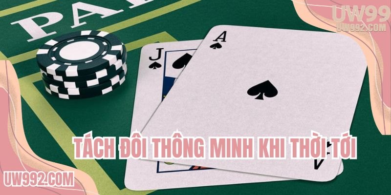Tách đôi thông minh khi thời tới