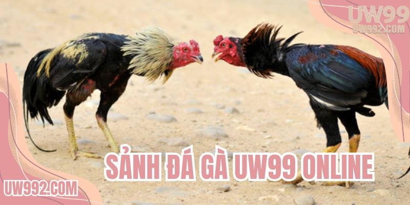 sanh-da-ga-uw99-online