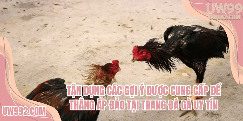 Tận dụng các gợi ý được cung cấp để thắng áp đảo tại trang đá gà uy tín