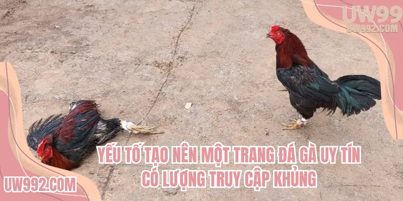 Yếu tố tạo nên một trang đá gà uy tín có lượng truy cập khủng