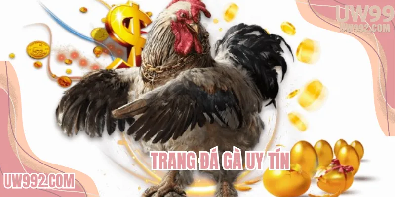 trang-da-ga-uy-tin